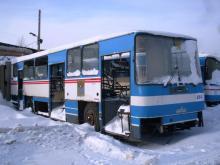 автобус МКП Оренбургские пассажирские перевозки