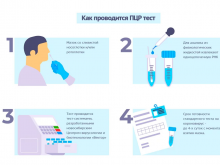 тест на ковид